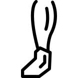Calf and foot