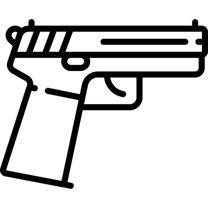 Gun