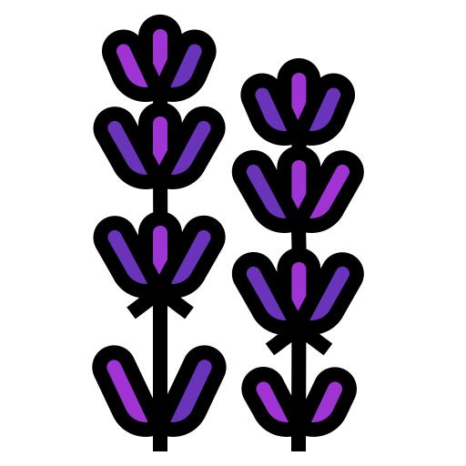 Lavender