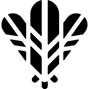 羽毛