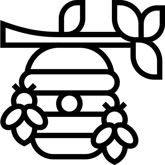 蜂窝