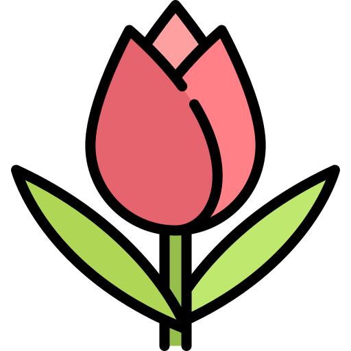 Tulip