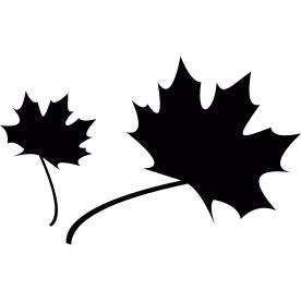 Two Maple leaves