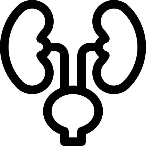 Kidneys