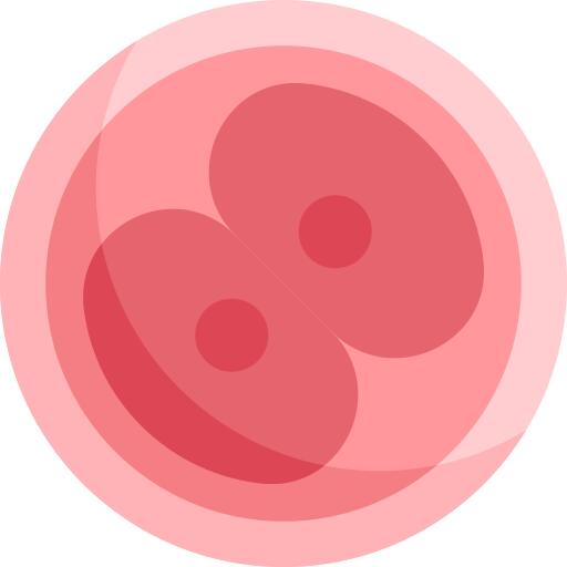 卵子