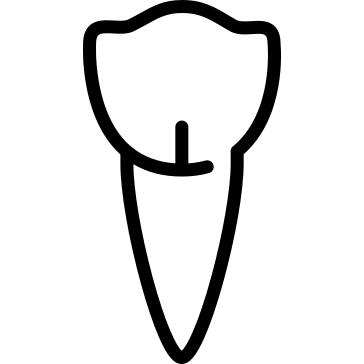 Premolar