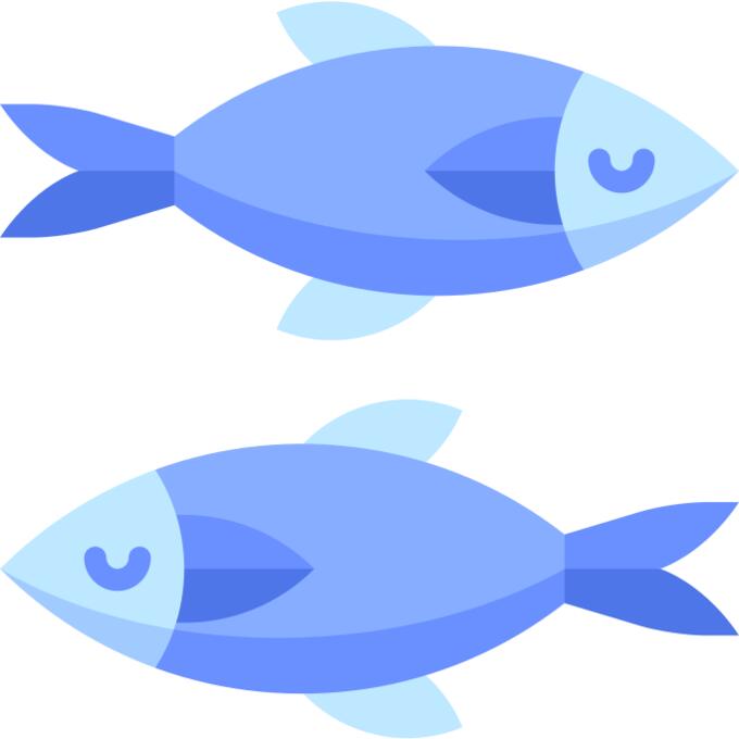 Herring