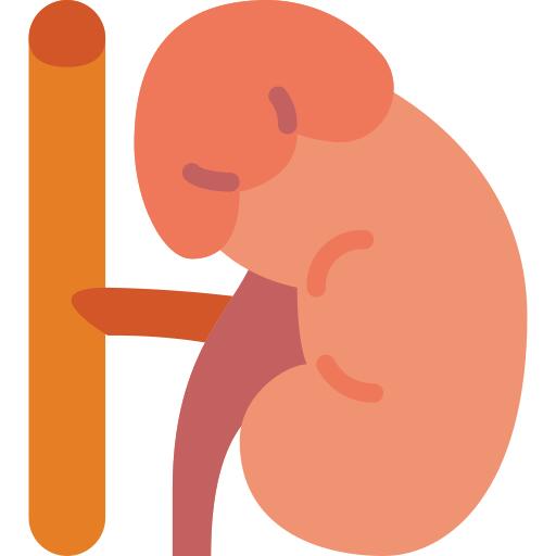 Adrenal gland