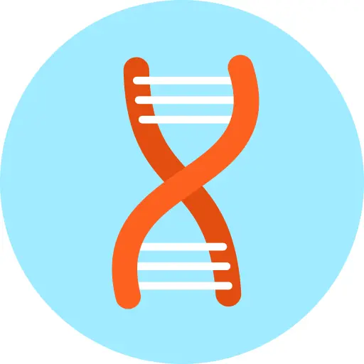 Dna