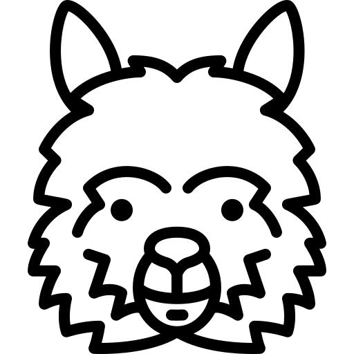 Lama Head
