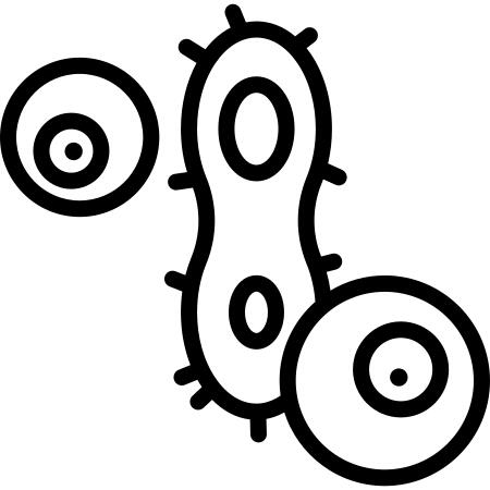 细胞