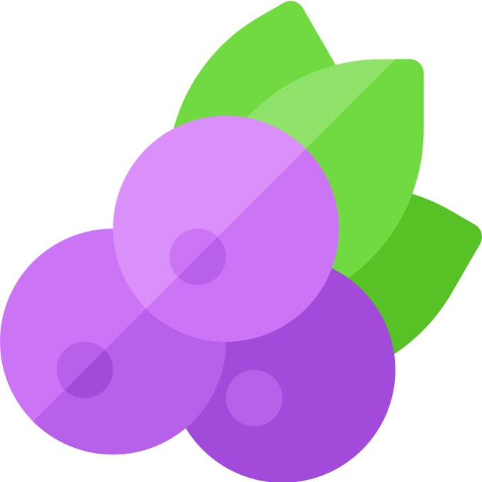 蓝莓