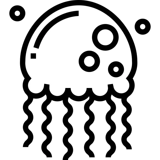 海蜇