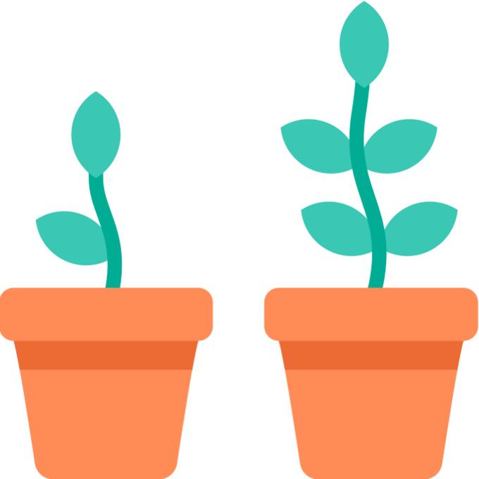 Plant