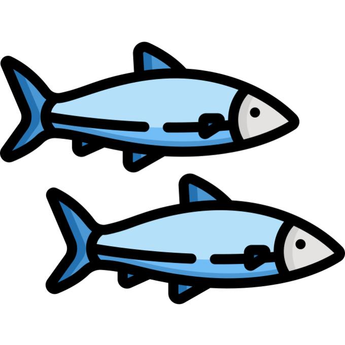 Fish