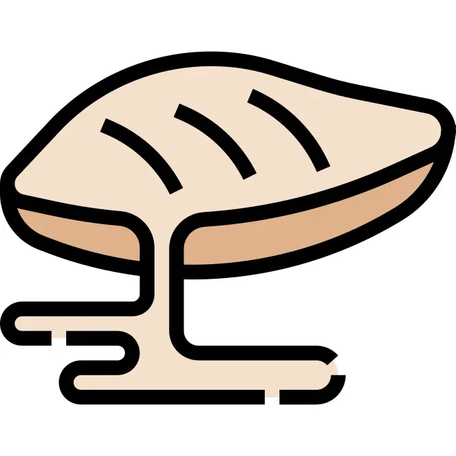 鸡胸肉