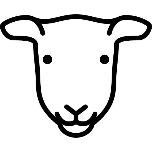 Female Sheep Head