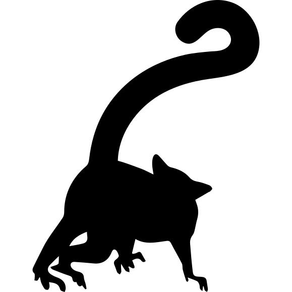 狐猴的形状