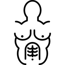 Upper body muscular view
