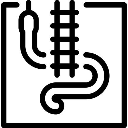 Snakes and Ladders