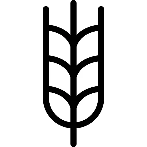 小麦