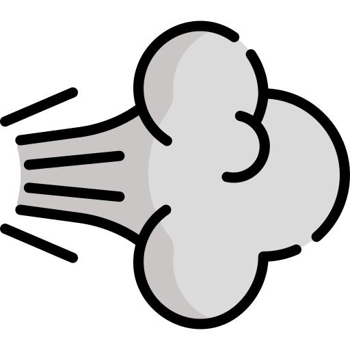 Fart