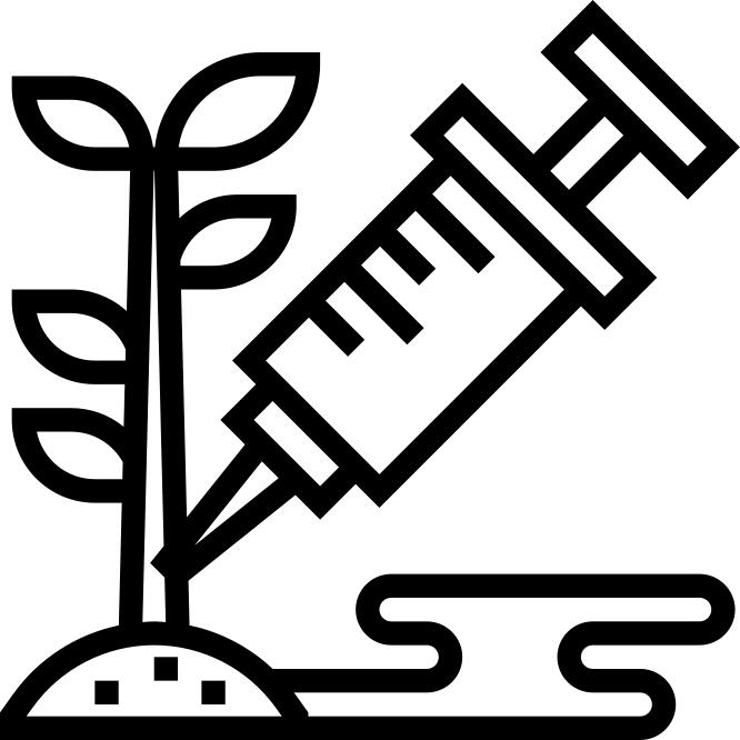GMO