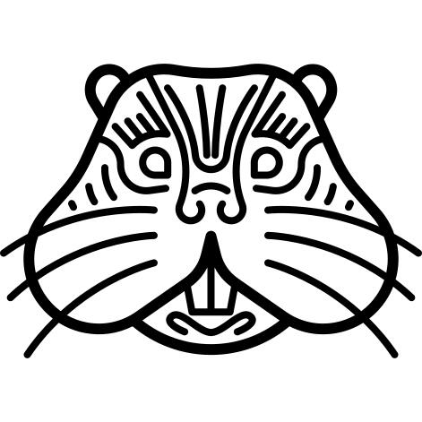 海狸
