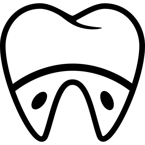 Molar and roots