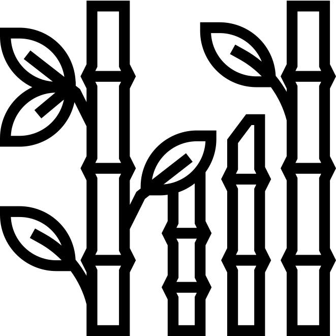 Bamboo