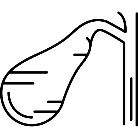 Gallbladder