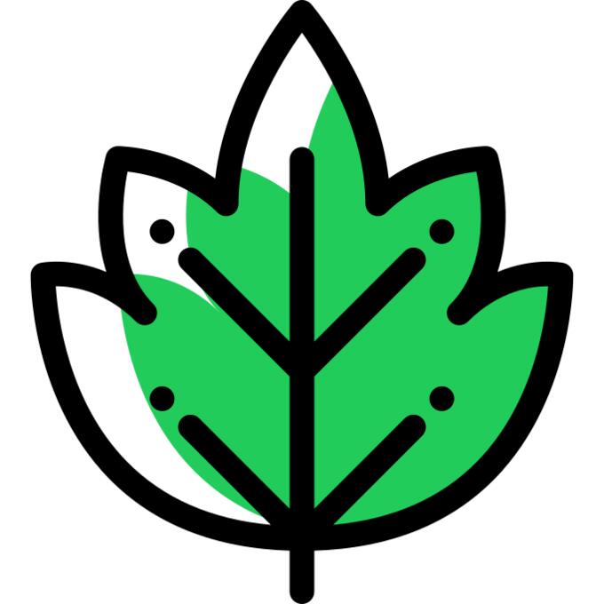 Leaf
