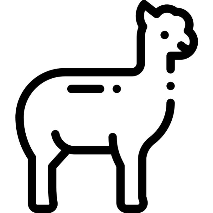 Alpaca