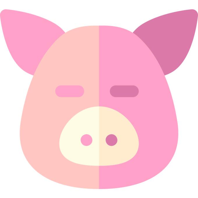 Pig
