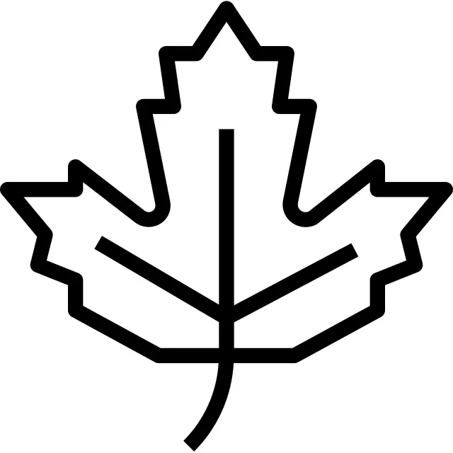 Maple leaf