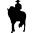 Flamenco silhouette of a man riding a horse
