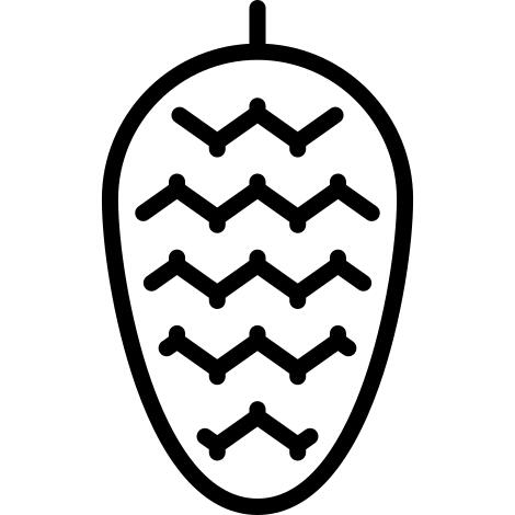 松球