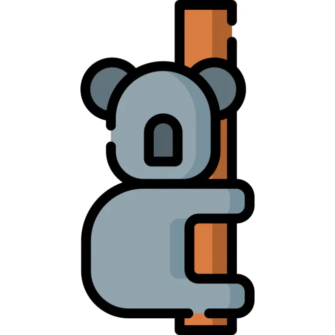 Koala