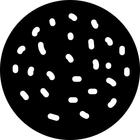 Grapefruit