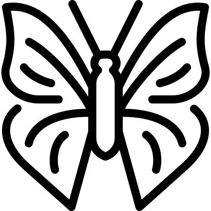滑翔机蝴蝶