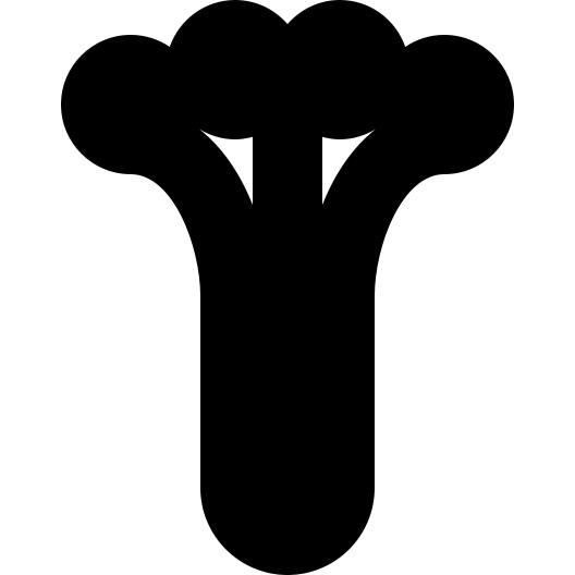 Celery