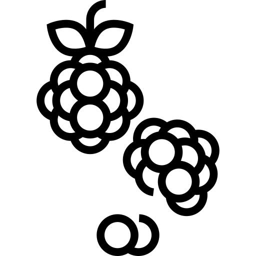 Raspberry