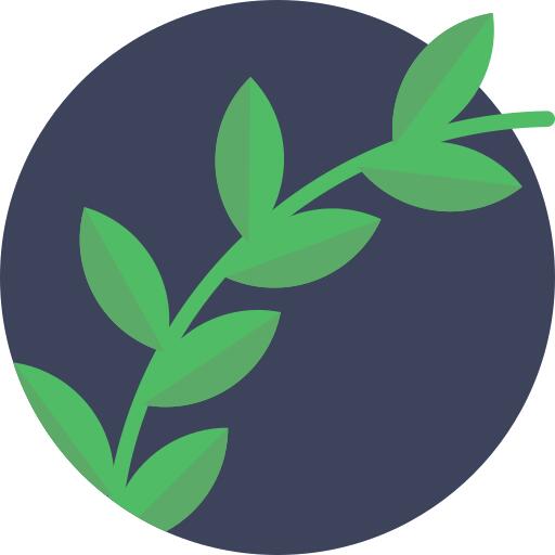 橄榄