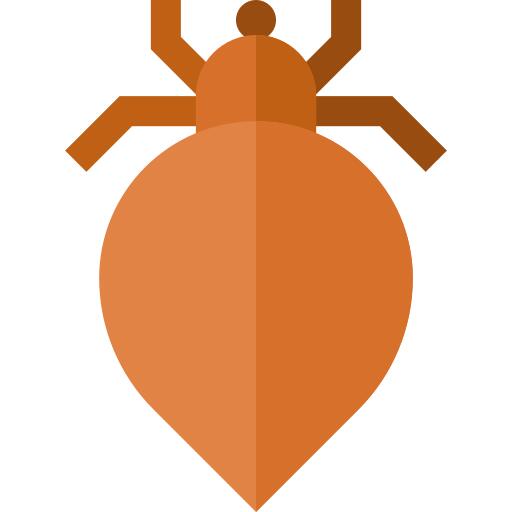 Louse