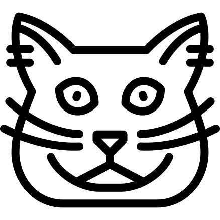Cymric猫