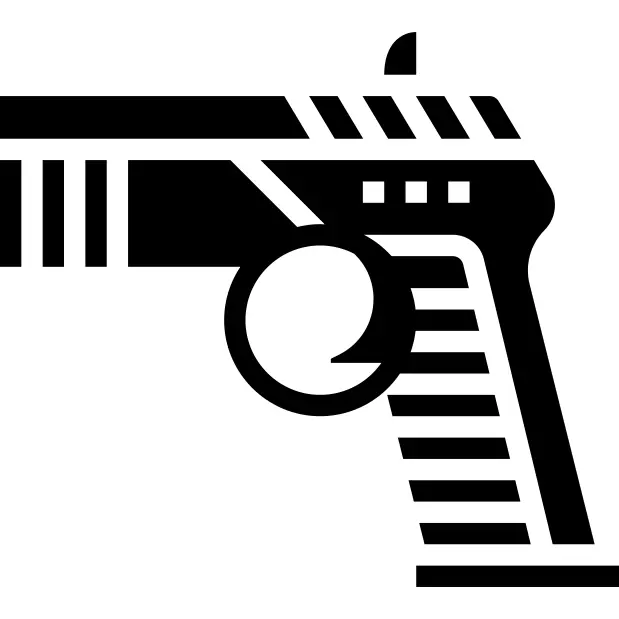 Gun