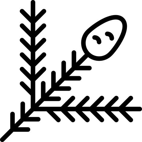 科