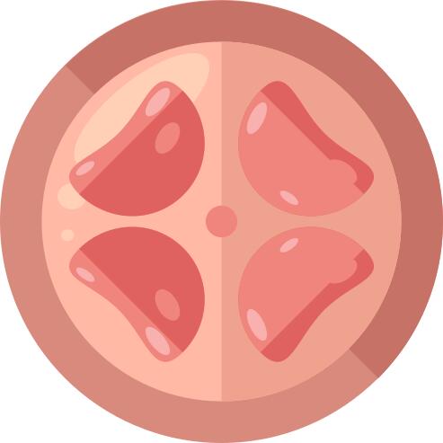Uterus