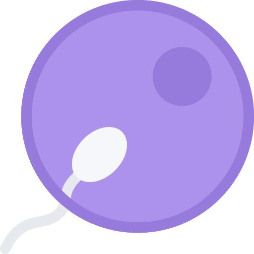 Fertilization