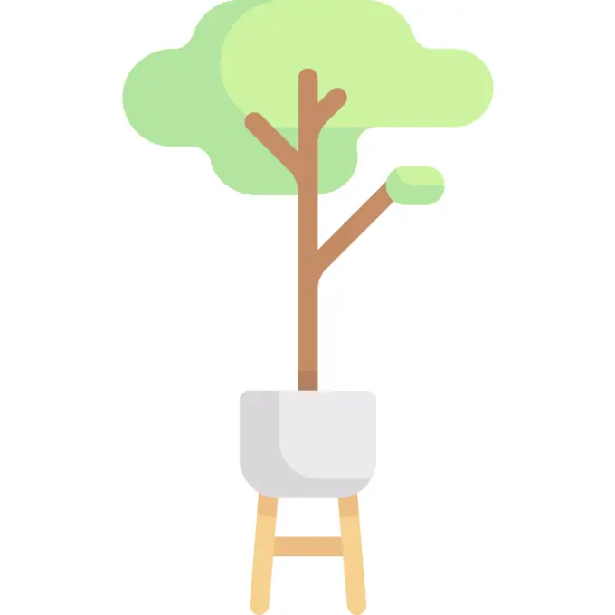 Ecology and environment